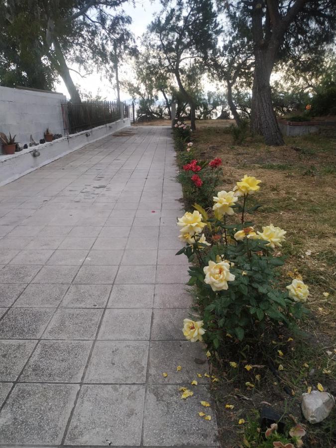 Almyriki Studio Volos Exteriör bild