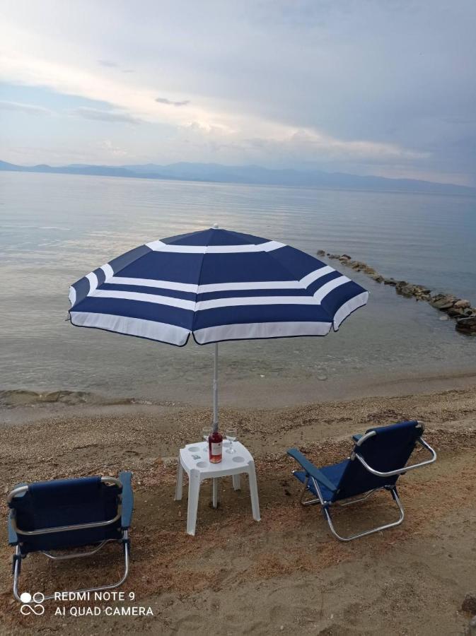Almyriki Studio Volos Exteriör bild