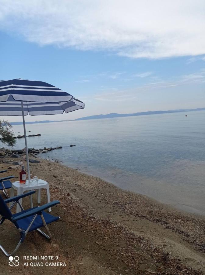 Almyriki Studio Volos Exteriör bild